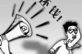 和静贷款清欠服务